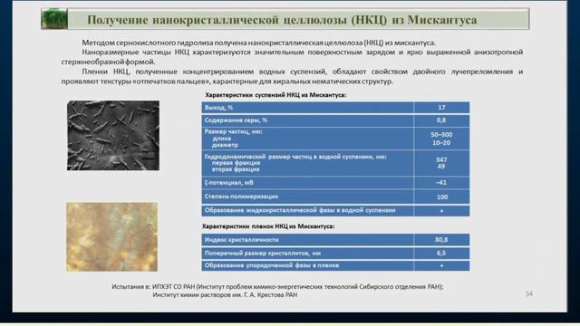 Как организовать новую национальную индустрию агроцеллюлозы в Российской Федерации? смотреть онлайн