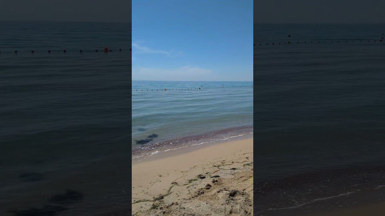 Лето пришло в Крым! #крым2024 #shotrs #евпатория смотреть онлайн