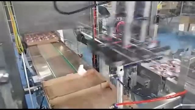 Автоматический формирователь лотков с укладкой роботом йогуртов смотреть онлайн