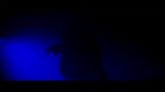 IVAN VALEEV — NOVELLA (official video) смотреть онлайн