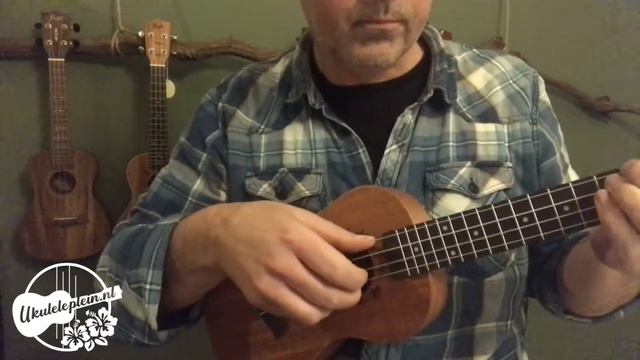 Flight DUC373 concert ukulele African Mahogany