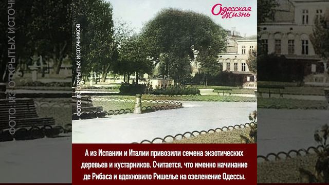 Одесские истории: как Феликс де Рибас подарил Одессе свой сад смотреть онлайн