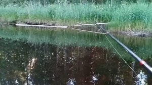 Клёвая рыбалка в Архангельской области