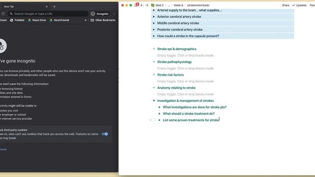 Notion to Anki - How I use these apps as a medical student смотреть онлайн