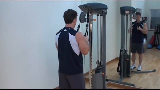 Torque Fitness F1 Arms Workout смотреть онлайн