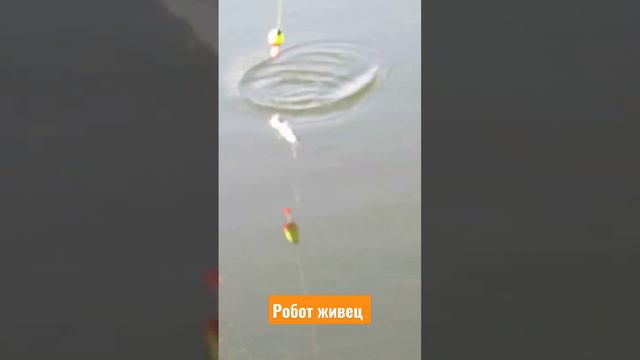 Робот живец! смотреть онлайн