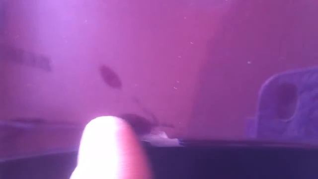 Дизайн для души