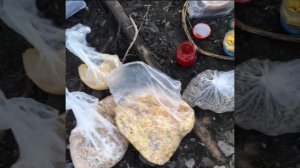 Рыбалка на реке Аксай п. Пчеловодный.