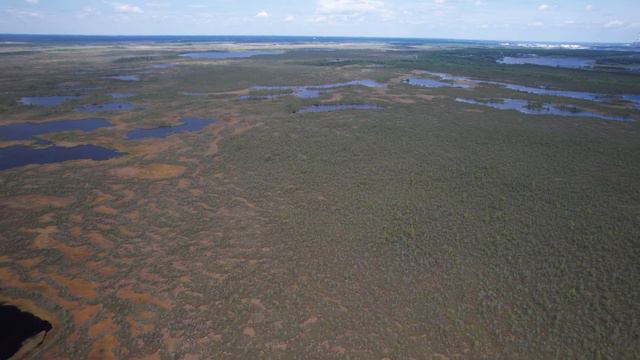 Дорога с Излучинска в протоку Савкинский Посол смотреть онлайн