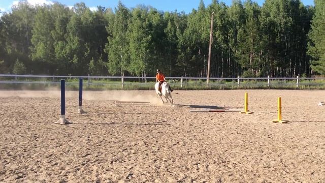 Конный клуб "Аллюр" смотреть онлайн