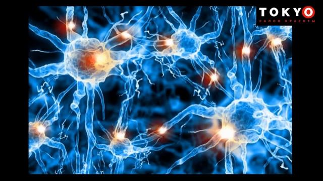 Шунгит - источник здоровья, молодости и силы смотреть онлайн