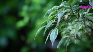 Жена изменила с её боссом! Я приехал к ней на работу и дальше… | Удивительные истории Измены Жены