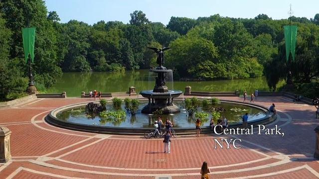 Spicy Pork Stew (Dwaejigogi-jjigae: 돼지고기찌개)