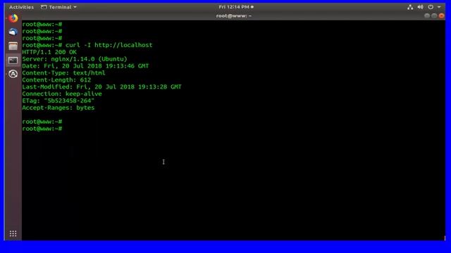 How To Hide Nginx Version Number in Headers and Errors pages On Ubuntu 18.04 смотреть онлайн