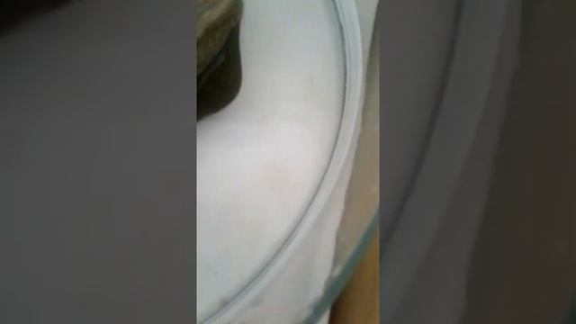 Как выбрать черепаху смотреть онлайн