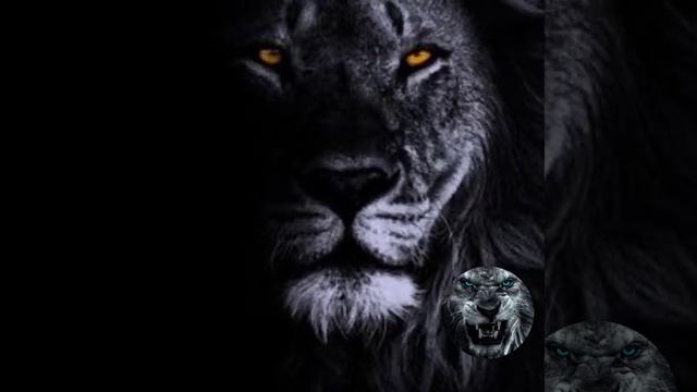 ВесЪ, Loc-Dog - Ветер в спину смотреть онлайн