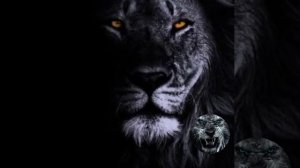 ВесЪ, Loc-Dog - Ветер в спину