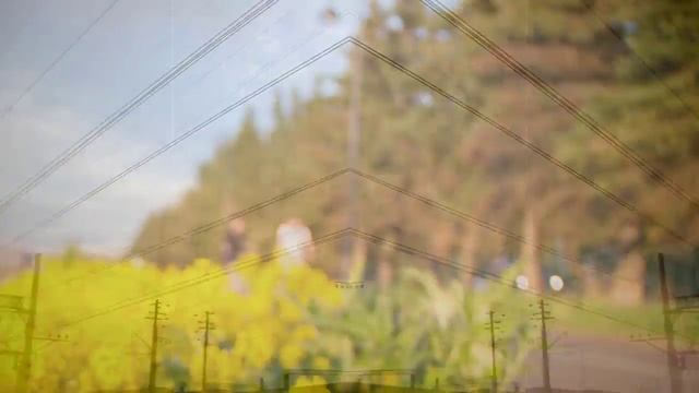 Water / Klaus Wiese - Tibetische Klangschalen смотреть онлайн