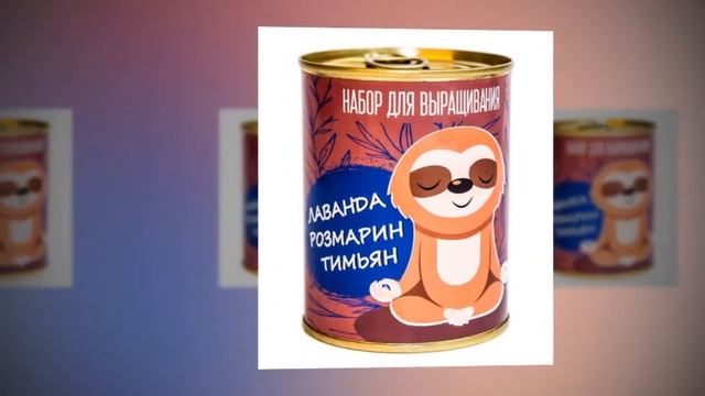 Консерва носок Пофигиста смотреть онлайн