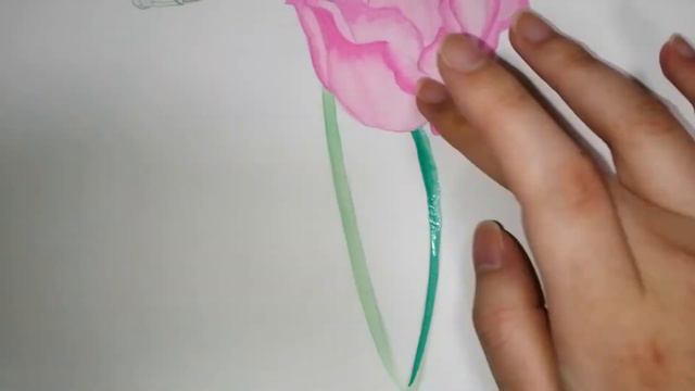 Betty’s flower drawing - Eustoma & Freesia - смотреть онлайн