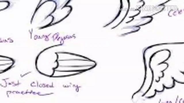 Анатомия MLP Уроки для художников смотреть онлайн