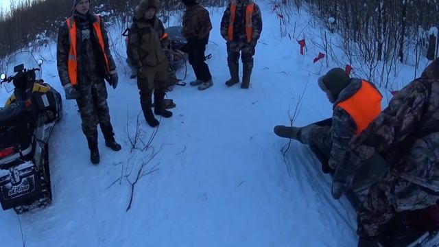 Охота на волка. Большая стая в окладе. смотреть онлайн