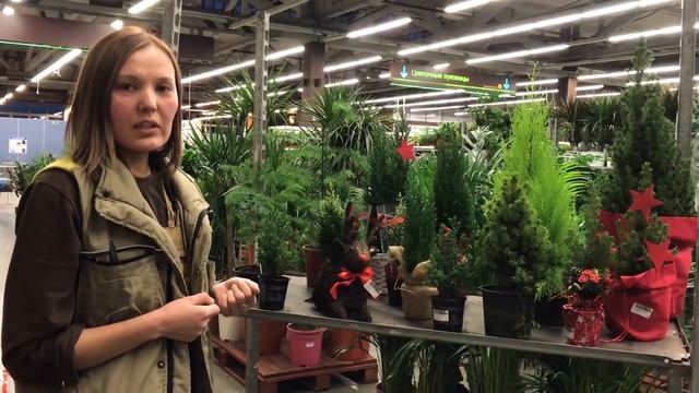 Здоровый Сон и Релаксация