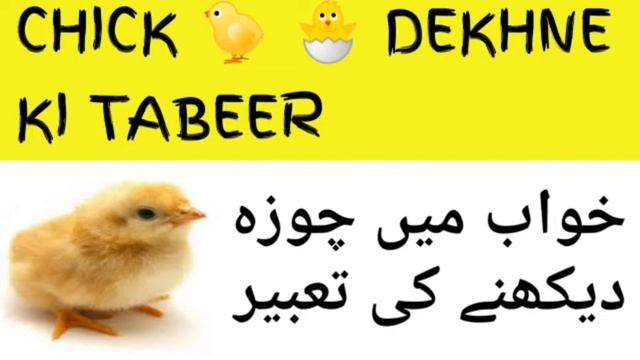 khwab mein Murghi ka Choza dekhna khwab mein chick dekhna смотреть онлайн