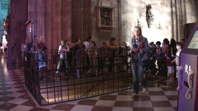 Stephansdom. Wien