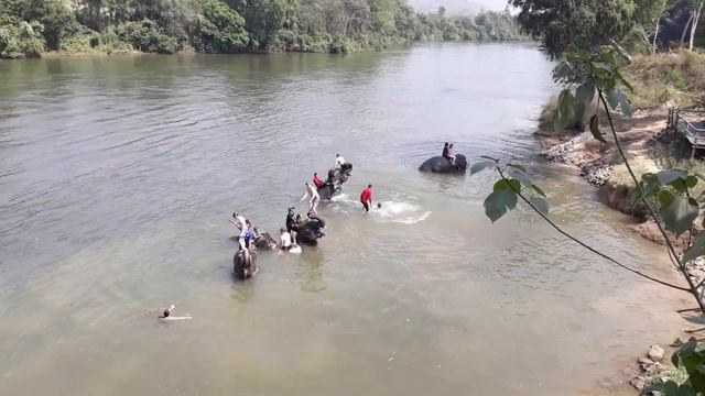 Таиланд. Паттайя. Экскурсия на реку Квай. Даша купается со слонами смотреть онлайн