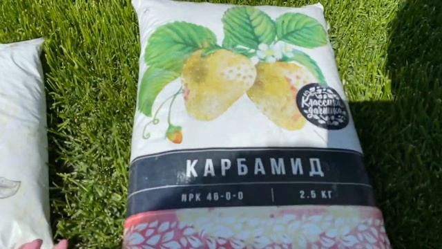 Газон, чем и как его кормить ⛳️ Для плотности и сочности смотреть онлайн