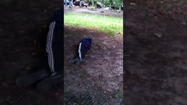 Бешеная коала смотреть онлайн