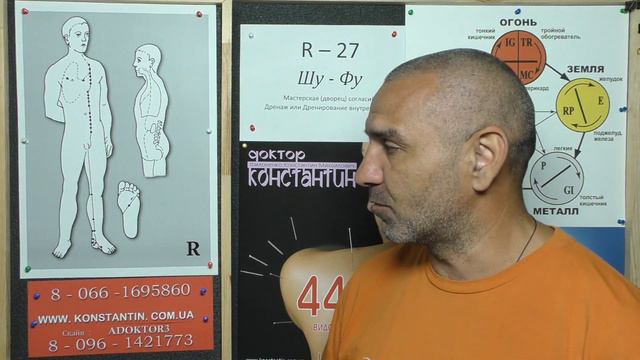 Вены Человека.