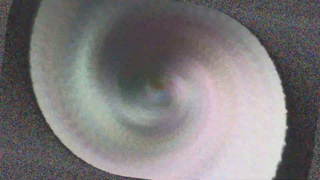 Simulated Video Feedback on the GPU (Run 8420) смотреть онлайн