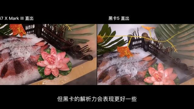 「探物」4千～5千「小体积」相机应该买哪个？「美颜」和「对焦速度」应该舍弃谁？佳能G7 X Mark III、G5x Mark II、索尼黑卡5、佳能M6 смотреть онлайн