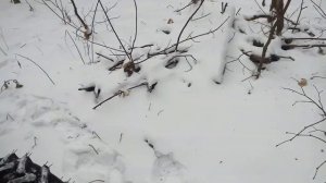 Китайский  минитрактор собранный в Чебоксарах.