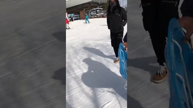 Vivaldi park 비발디파크 смотреть онлайн