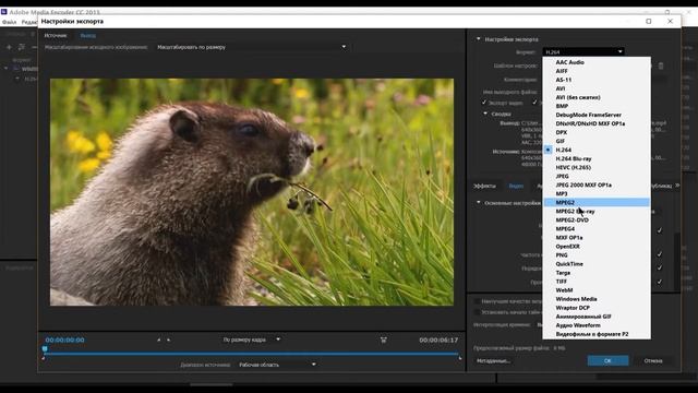 Рендеринг из программы After Effects с помощью Media Encoder смотреть онлайн