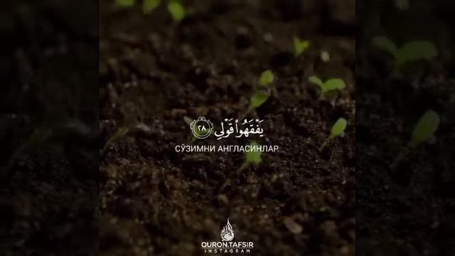 Дуа Мусы Робиш Рохли Содри смотреть онлайн