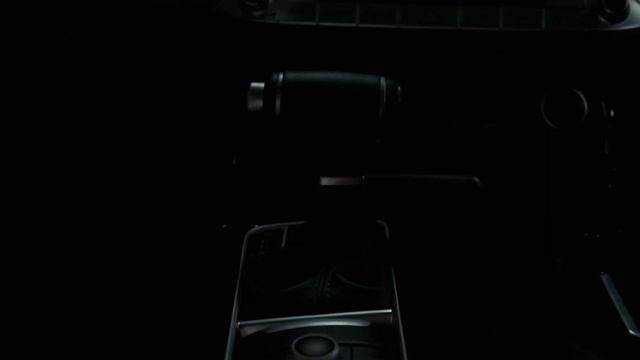 Обзор Stinger Black (Лот №01267492) смотреть онлайн