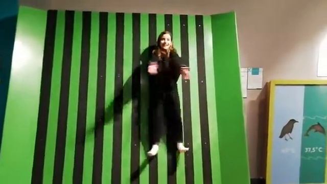 Лиза висит на магнитной стене. Экспериментариум смотреть онлайн