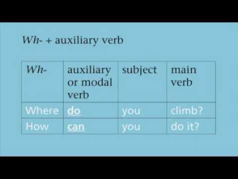 Review 1 Wh questions and word order – Mode preview – Modul смотреть онлайн