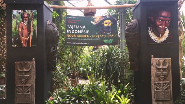 Palmy a Zahrady - Tropical Garden Centre - FLORA OLOMOUC letní etapa 2018 - Czech Republic смотреть онлайн