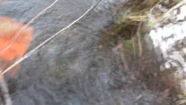 ПОИСКОВЫЙ МАГНИТ НА СТАРОЙ ВОДОКАЧКЕ смотреть онлайн