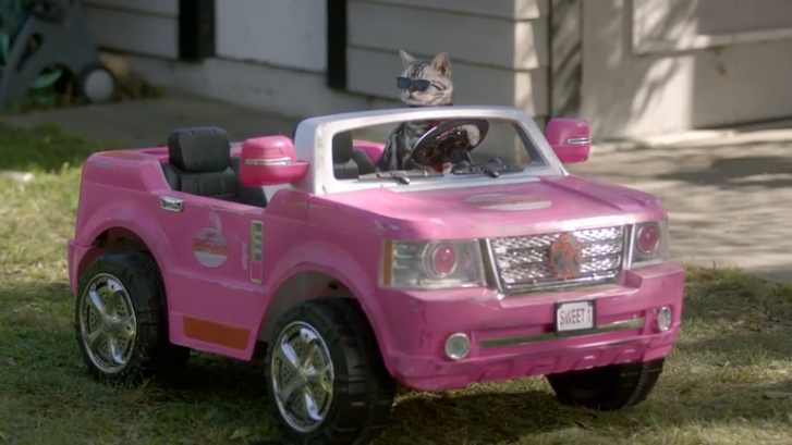 Diet Dr Pepper – Немножко перебрали с розовым смотреть онлайн