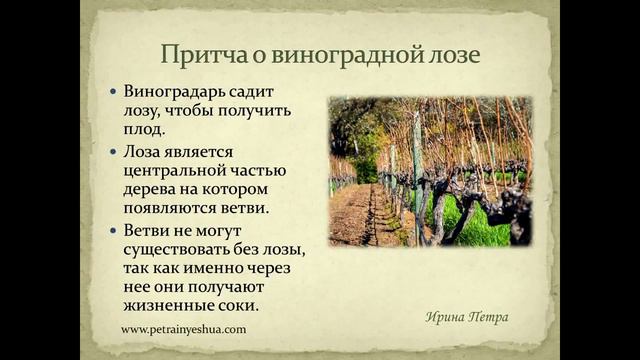 №37-а  Иоанна гл.15 Иешуа и виноградная лоза.