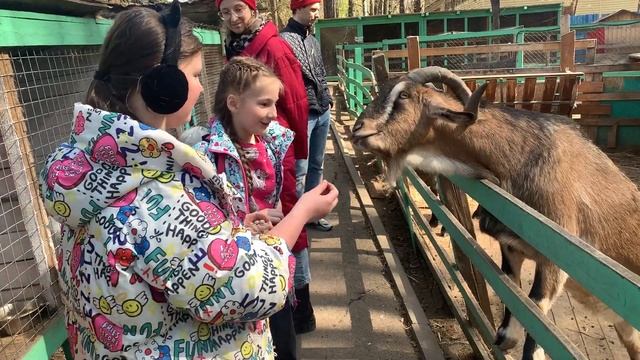 Влог: Карусели ? Гуляем в детском городке смотреть онлайн