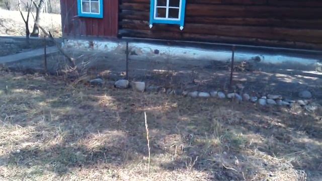 Солнечный и теплый ноябрьский день!!! смотреть онлайн