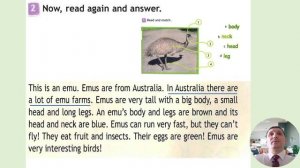 3 класс. Урок 34 (урок 10b) "Fun at school!" модуль 5 "Furry friends!" по учебнику Spotlight