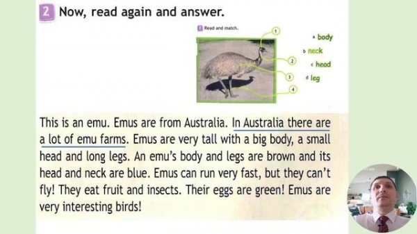 3 класс. Урок 34 (урок 10b) "Fun at school!" модуль 5 "Furry friends!" по учебнику Spotlight